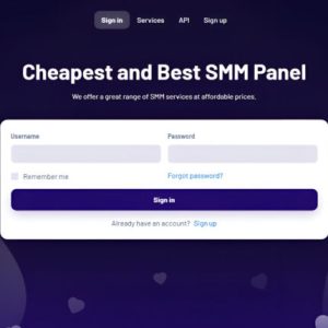 SMM Panel Website Development Services