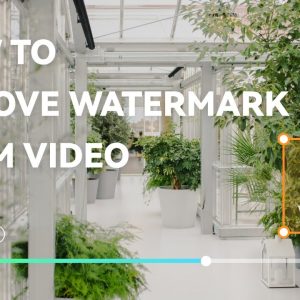 Phần mềm WorkinTool Watermark Eraser