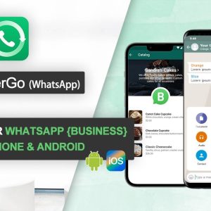 Phần mềm RecoverGo (WhatsApp)