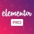 Elementor Pro GPL Plugin